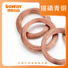铜线 锡青铜C51100铜线QSn4-0.3多种规格铜合金线材CuSn4