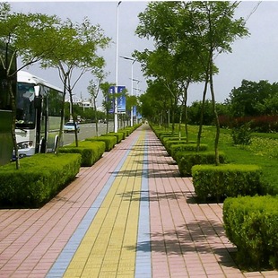 �V���u200&times;200С�^�شu�����ɴu�Ӻ�܇��4Sϴ܇��ä���u