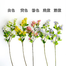 ���涡�㻨 ���~�������� �Ҿӿ͏d�b廨 �zӰ�����Gֲ�[��