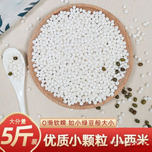 西米露批发小西米白西米散装椰浆水晶粽子水果捞原料中小粒包邮