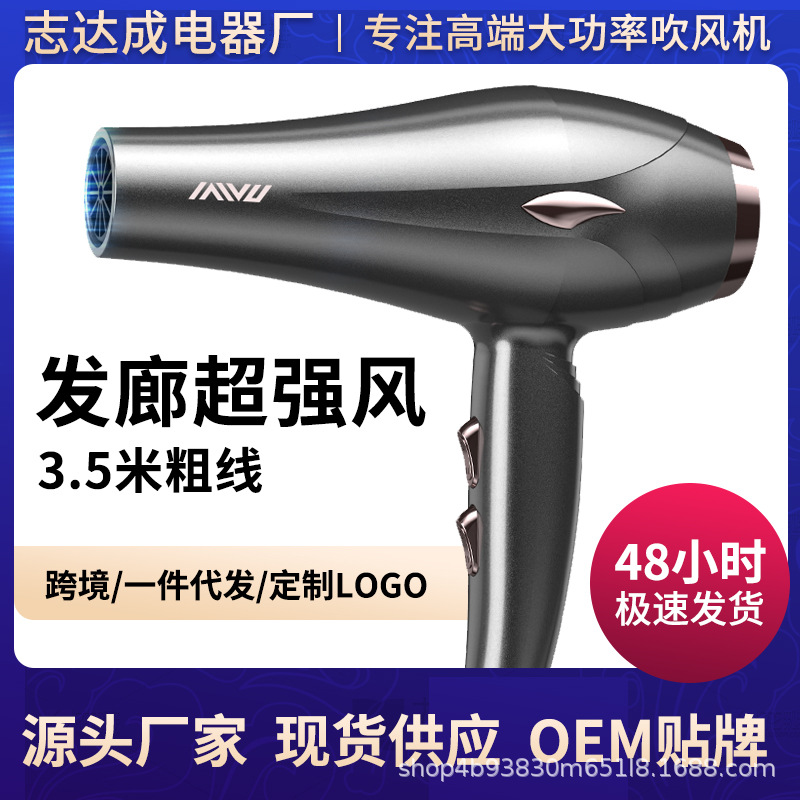 Powerful 2400W High-Power Hair Dryer Hair Dryer Barber Shop Special Negative Ion Hair Care Household Hair Dryer