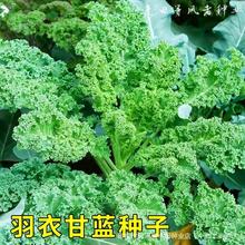 ~¸{˷NӺڞ¸{NްɳͥԺСˈ@