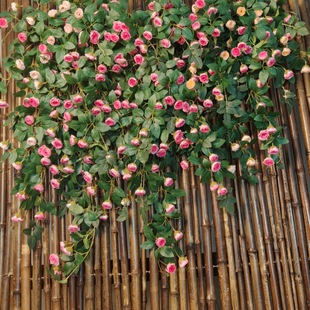 2025 New Silk Flower Material Simulated Rattan Decoration Fake Flower Rattan Air Conditioning Pipe Shielding Landscaping Dustproof Green Plants