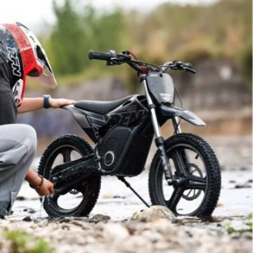 Negotiable wholesale Apollo RFN Elektrikli motosikletlər