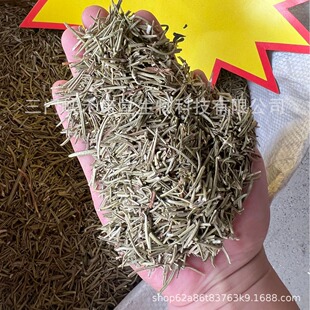 �̿��� rosemary�Ե������ϳ����M�ڇ��a�Ե����؛ɢ؛���l