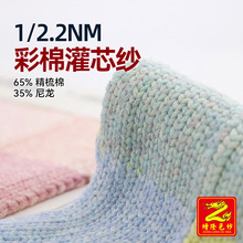 缯隆 1/2.2NM彩棉灌芯纱渐变棉尼带子纱毛纱纱线65%精梳棉35%尼龙