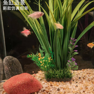 ˮ�����쾰����ˮ���~�ײ������ϼٲ�ֲ���侰�����m�����b��¿�