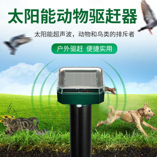 ������s��̫�����B�����Q������������@���򌹷��Դ�^���S