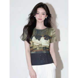 复古油画猫咪印花短袖网纱T恤女夏季薄款双层空调衫修身显瘦上衣