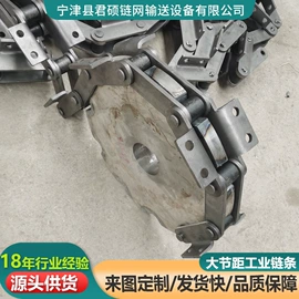 传动链;输送机;网带
