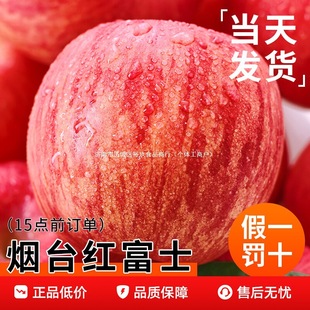 ��̨�t��ʿ�O��10�����������rˮ������ɽ�|��ϼ��������ĳ�ƽ��