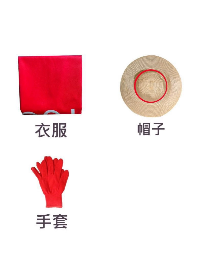 One Piece cos для детей и взрослых Egghead Island Zoro Luffy cos костюм будущее острова новый аниме