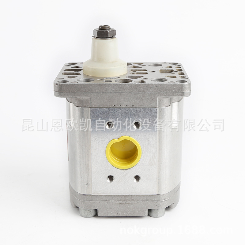 法国HPI齿轮泵P1BAN2026BL10B02N