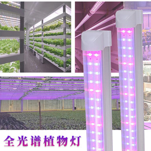 ȫ���VT8ֲ��������L��һ�w1.2�׻��ܜ��Ҷ����a���grow light