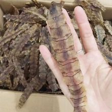 Ұ�����Þ|��O�������rƤƤ�r���r�ɚ��r���ԕ��r������ø�ȥ