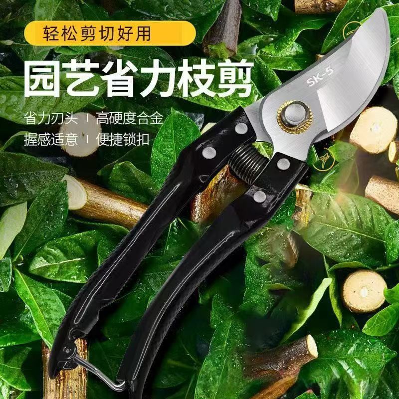 果樹剪定鋏、枝専用花鋏、剪定鋏、強力花果樹剪定、園芸|undefined