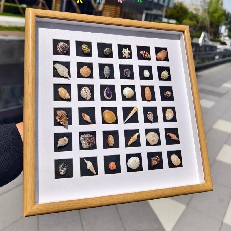 Handmade DIY creative seaside three-dimensional hollow grid photo frame display stand picture frame gift with dried flower specimens and shell grid Handmade DIY creative seaside three-dimensional hollow grid photo frame display stand picture frame gift with dried flower specimens and shell grid