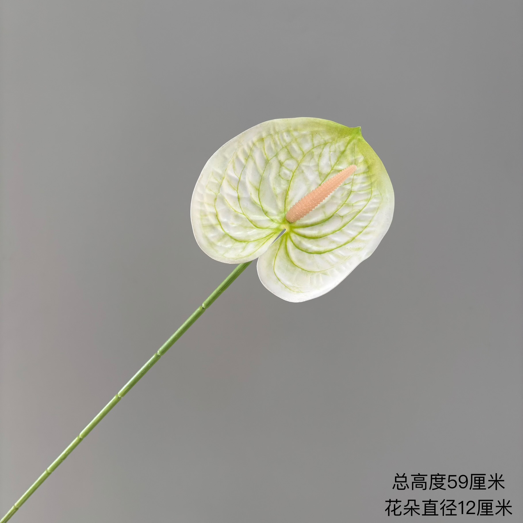 연한 흰색 녹색