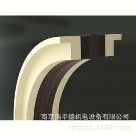 英国 James Walker 液压活塞密封 Solosele® SW 双作用活塞