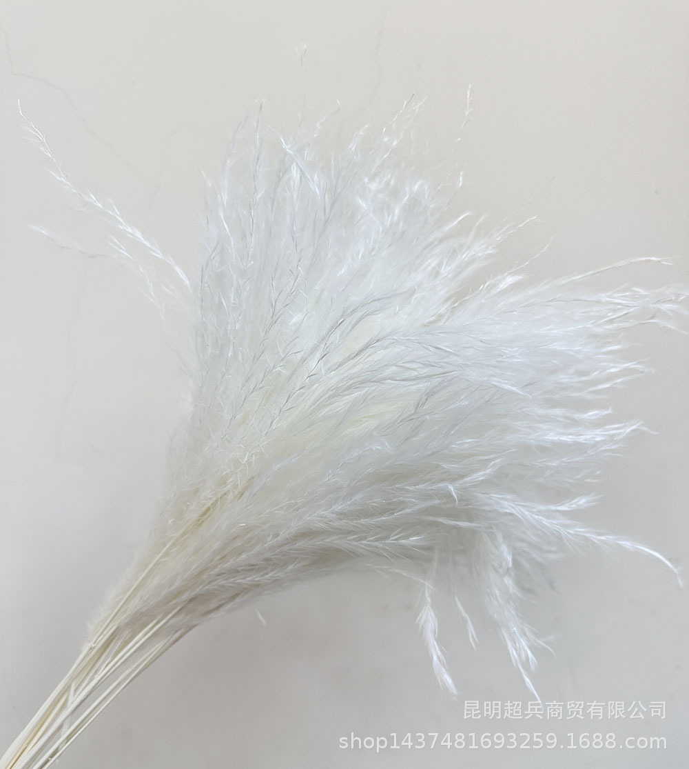 微信图片_20240318174734.jpg