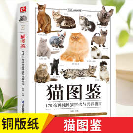 猫图鉴 动物科普宠物猫图鉴 文字图解高清鉴赏图片 养猫实用盛世