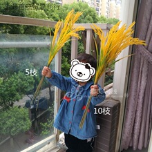 ���浾�ȼ�ˮ������Gɫ���������赸���߻�����S���r�����b�Ʒ