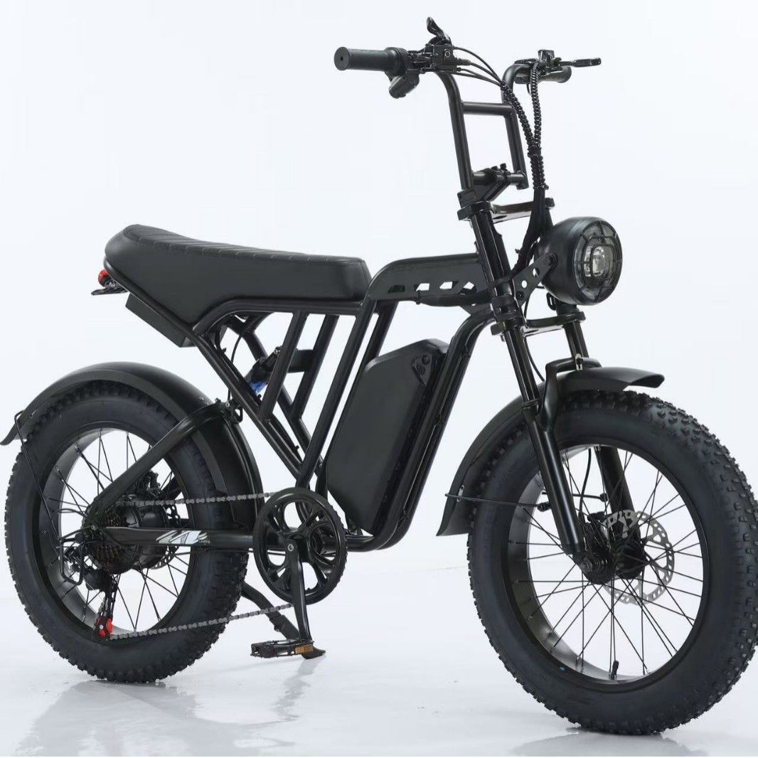 La nueva Bicicleta eléctrica de 20 pulgadas en los Estados Unidos ayuda a la bicicleta 48v en el extranjero.