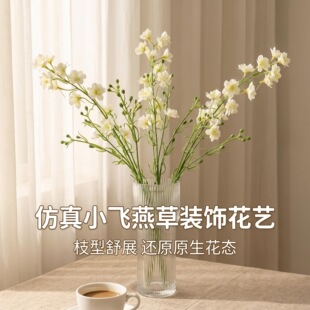 �ߙn���滨�ָ����_�m3D��ӡ��c�ٻ��b��廨��ĺ����mС�w��