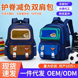 小学书包;化妆包;女士双肩包