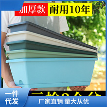 �̨�L���ηN����N��������ͥ�̨�߲������L�l�������S�ҠT��