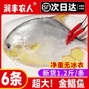 ����S��朰��]�����K�~�V�|ꖽ��a���r���rˮ�a��������~�ͶY