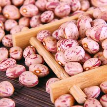 ���ȸ������5���̻�ܿ���A���t����ȸ��ܽ�ض�����s�Z�̻���