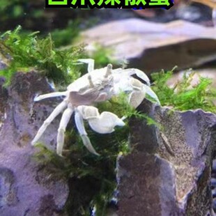 ����зС�зС�~����؛�r�[��؛����з�^�pз���w����tצ����з