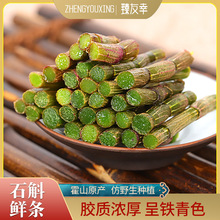 霍山铁皮石斛鲜条1斤起批鲜条非枫斗鲜条产地直供鲜摘直供