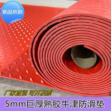 ޺񿹃|NWУ^z|ţ5mmߵ͜tԺ