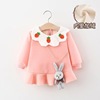 Demi-season dress, fleece small princess costume, skirt, increased thickness