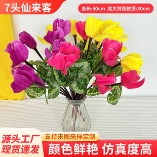 ����7�^���ɿ́��辰�ٻ��Gֲ�廨�[�O��c�b��҃��軨�ҾӔ[��