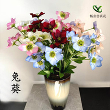 6�^�ÿ��Ƶ��b�ˮ�ɻ��¿�d�Ӽٻ����ĶY���ÿ��b����滨���l