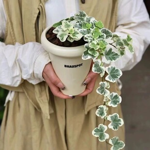 �ձ�ѩ�������ِ����~���\���Wins�L�҃��̨����С���ԾGֲ���B