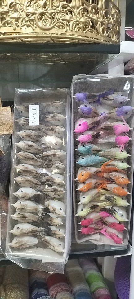 Источник Фабрика Поставка продуктов для птиц Перья птицы садовые ремесленные птицы