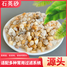 免洗海沙寄居蟹专用沙水草螃蟹底沙乌龟铺底流沙鱼缸水处理石英砂