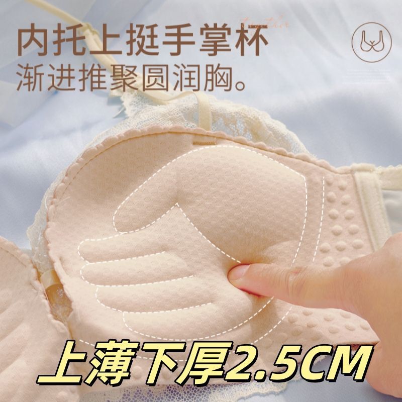 New Lace Underwear for Women, Push-Up, Thickened, Small Breasts, Large Palm Cup, No Rims, Breast-Retracting Bra Set