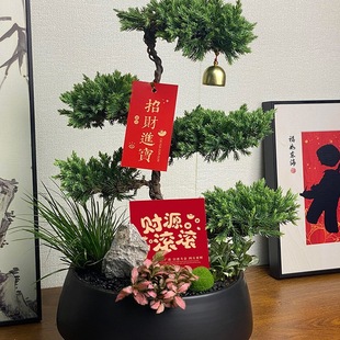 ����������Է��p�ɾGֲ���w�¾��_�I���նY��ӭ�����辰�҃�ֲ��