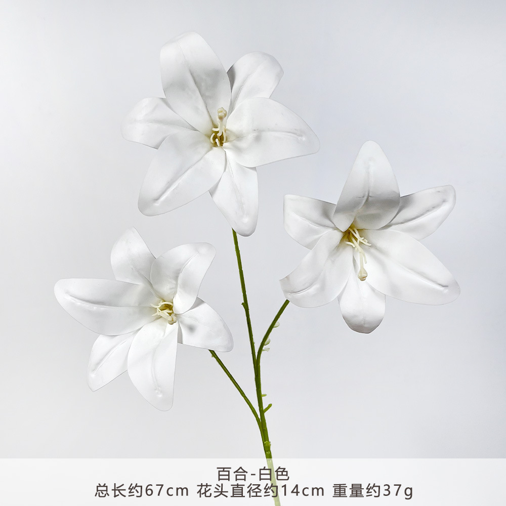 YM2-ลิลลี่-ขาว