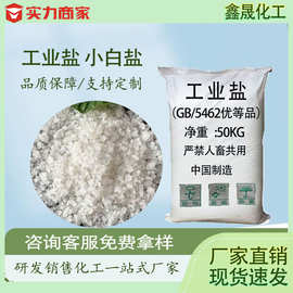 小白盐 工厂批发工业盐 日晒海盐 水产养殖调节水质洗涤增稠用