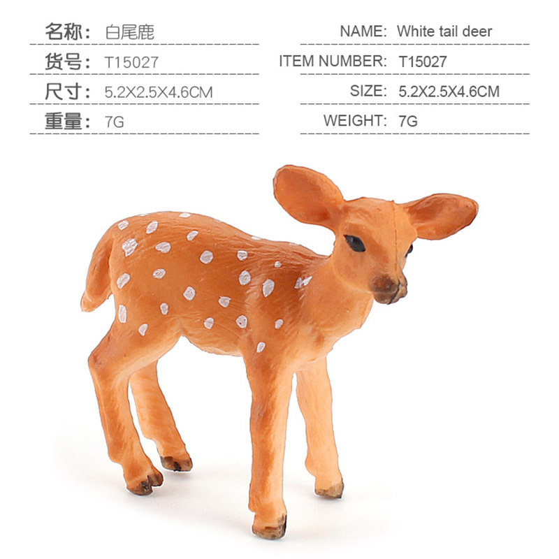 PL127 - 004 White Tail ciervo 7g