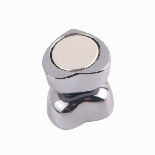 2024 new fashionable magnetic buckle for girls, fresh and cute silk scarf buckle, Korean temperament brooch, multi-color accessories