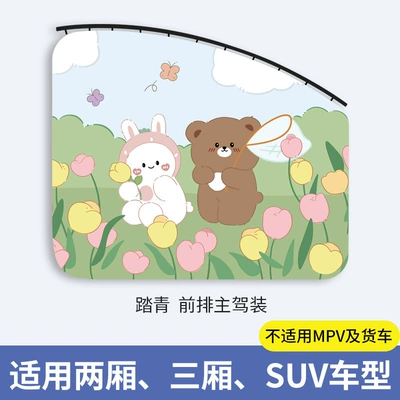 Car curtains — Privacy Curtain - outing-main-driver