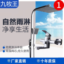 厂家全铜铜体花洒套装升降挂墙式手持水疗淋浴三档龙头沐