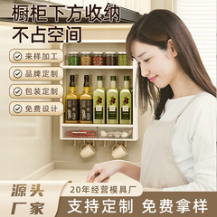 Custom Kitchen Wall-Mounted Pouchless Storage Rack for Spices and Jars